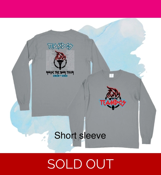 TEAM DCS 2020 LARGE BELLA CANVAS